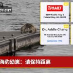 海豹幼崽：请保持距离