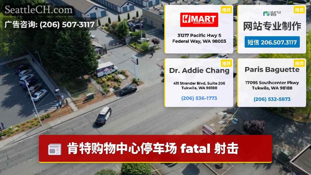 肯特购物中心停车场 fatal 射击