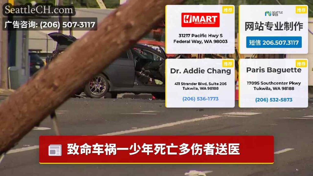 致命车祸一少年死亡多伤者送医