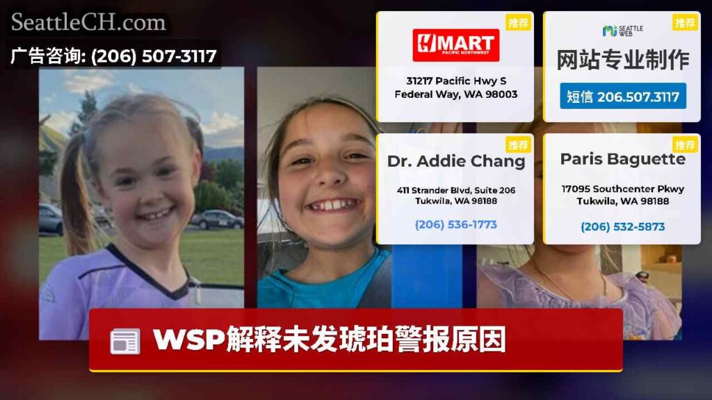 WSP解释未发琥珀警报原因