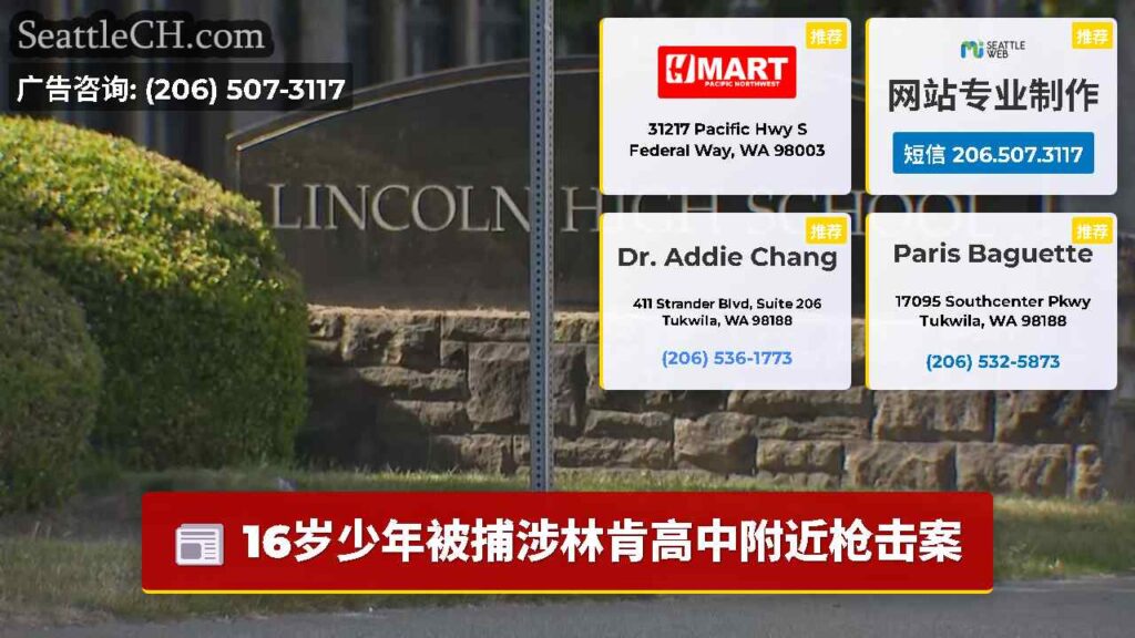 16岁少年被捕涉林肯高中附近枪击案