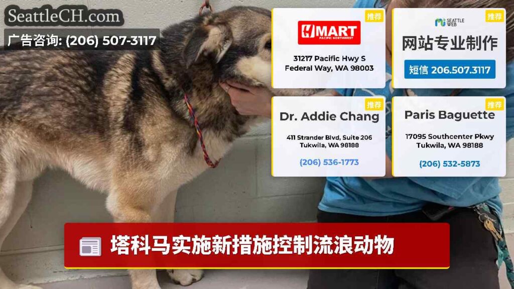 塔科马实施新措施控制流浪动物