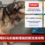 塔科马实施新措施控制流浪动物
