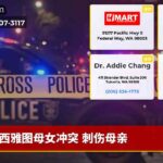 西雅图母女冲突 刺伤母亲