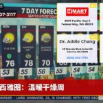 西雅图：温暖干燥周