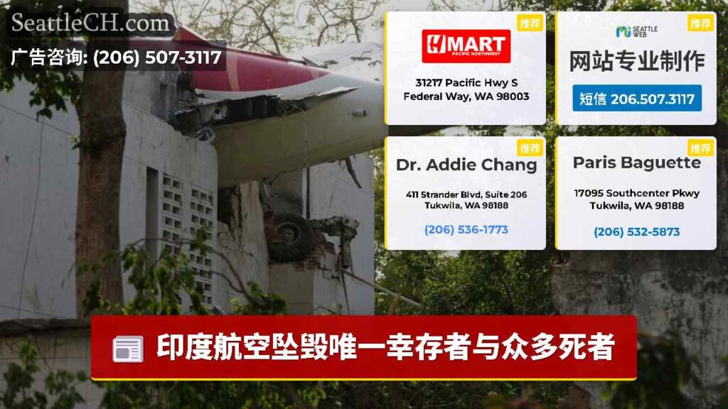 印度航空坠毁唯一幸存者与众多死者