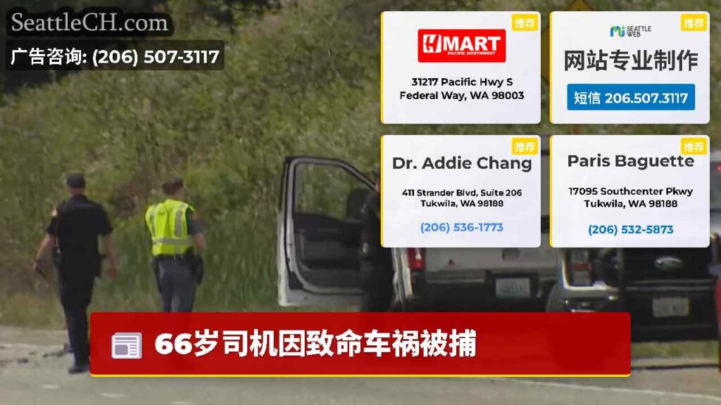 66岁司机因致命车祸被捕