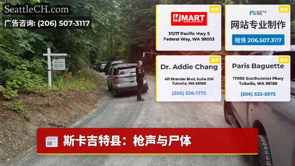 斯卡吉特县：枪声与尸体