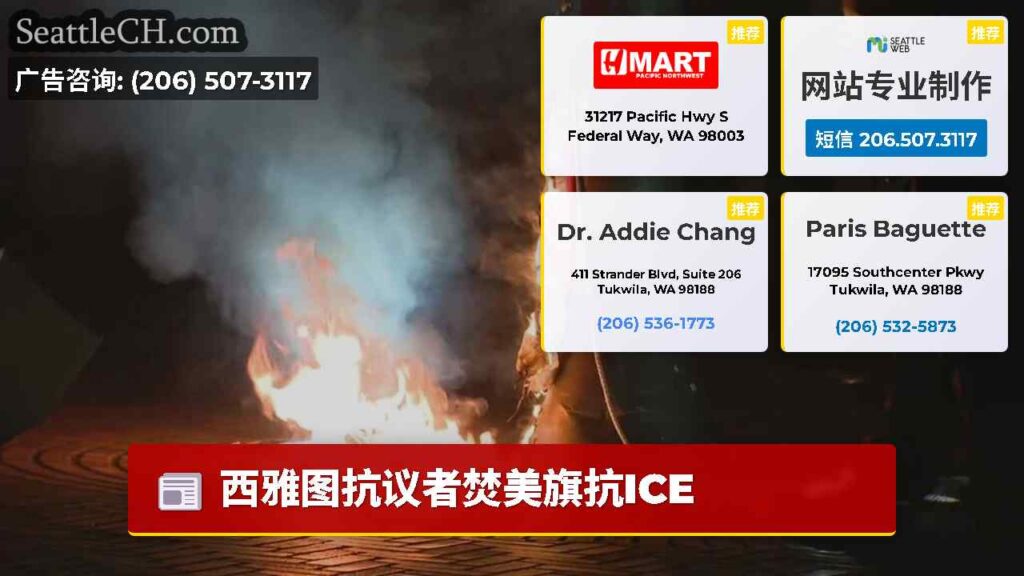 西雅图抗议者焚美旗抗ICE