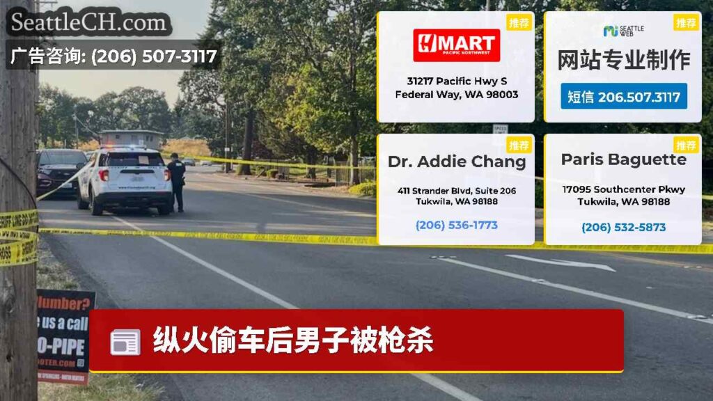 纵火偷车后男子被枪杀