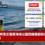 柯克兰霍顿海滩公园因细菌超标关闭一周