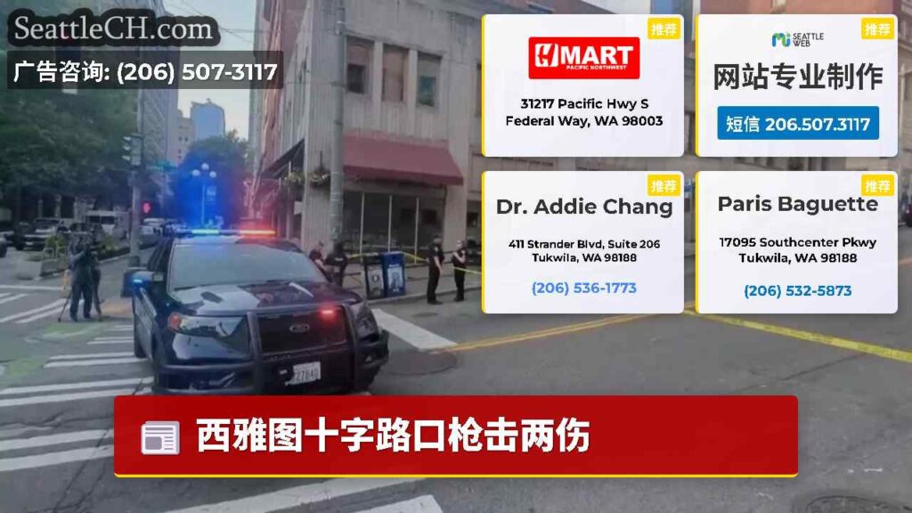 西雅图十字路口枪击两伤