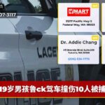 19岁男孩鲁ck驾车撞伤10人被捕