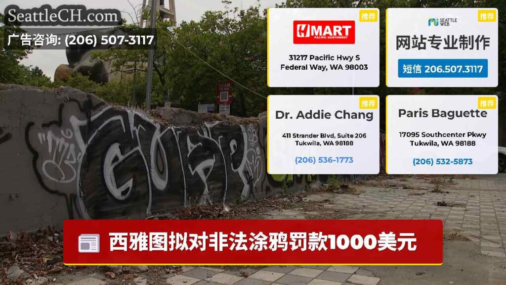 西雅图拟对非法涂鸦罚款1000美元