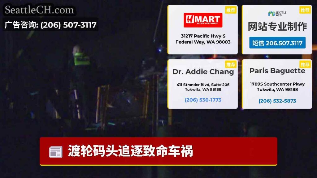 渡轮码头追逐致命车祸