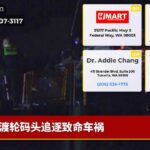 渡轮码头追逐致命车祸