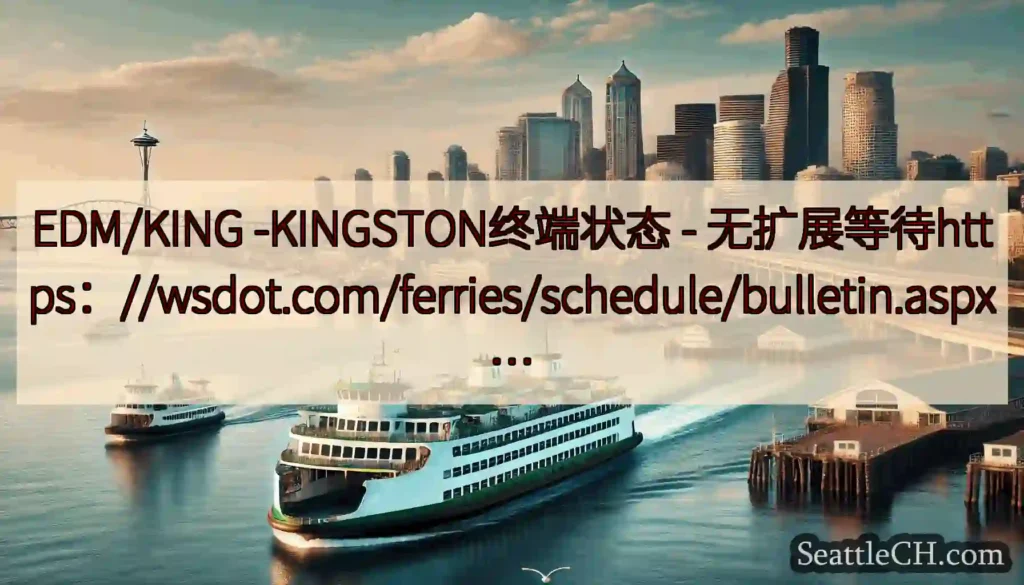 EDM/KING -KINGSTON终端状态 -
