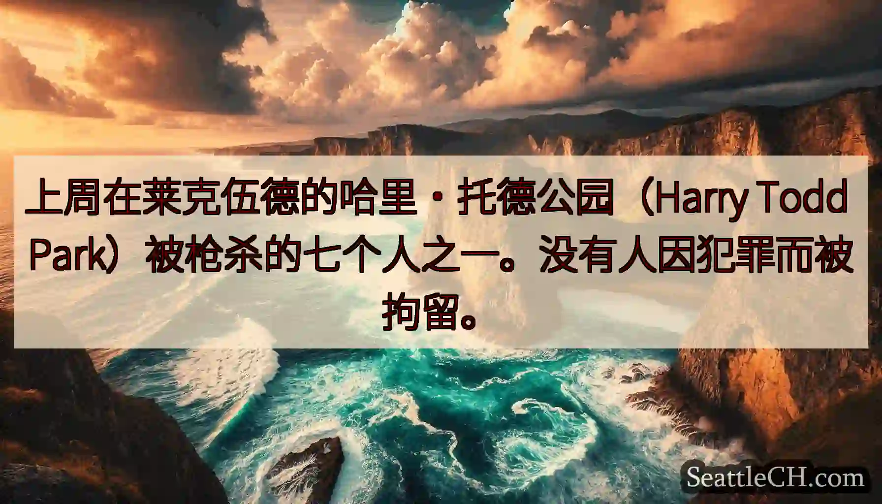 上周在莱克伍德的哈里·托德公园（Harry Todd