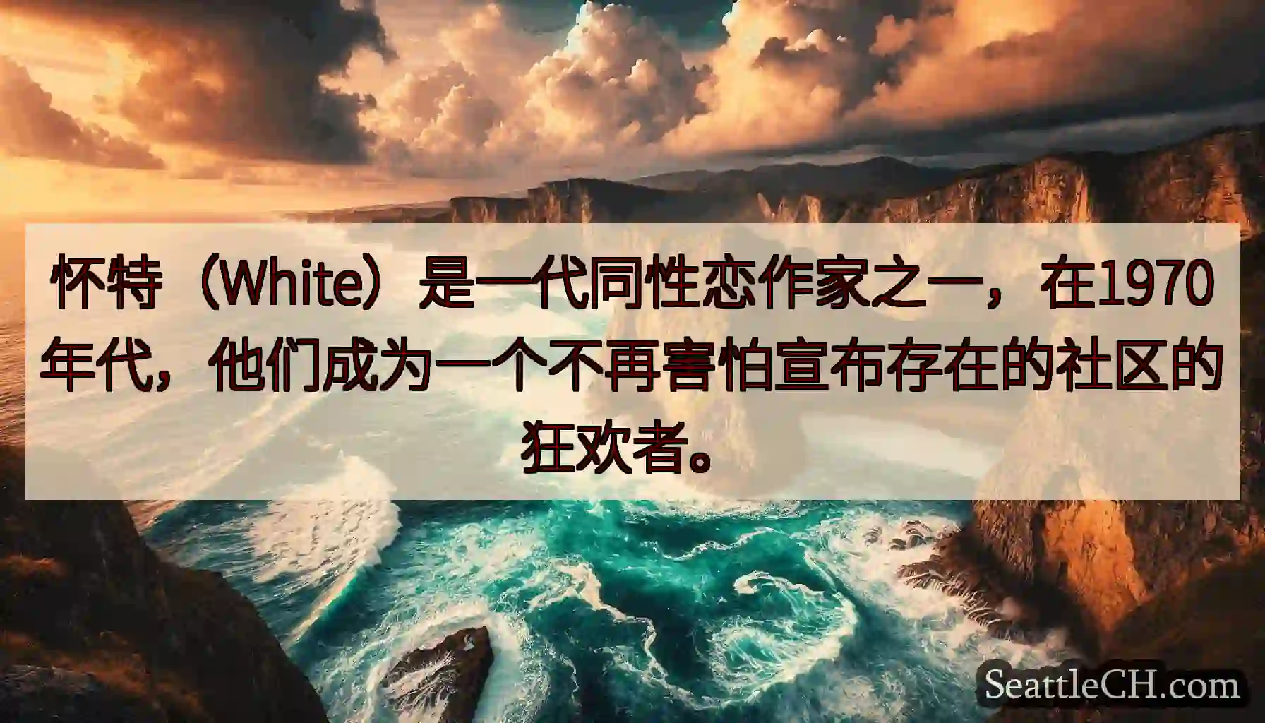 怀特（White）是一代同性恋作家之一，在1970年代，他们成为一个不再害怕宣布存在的社区的狂欢者。