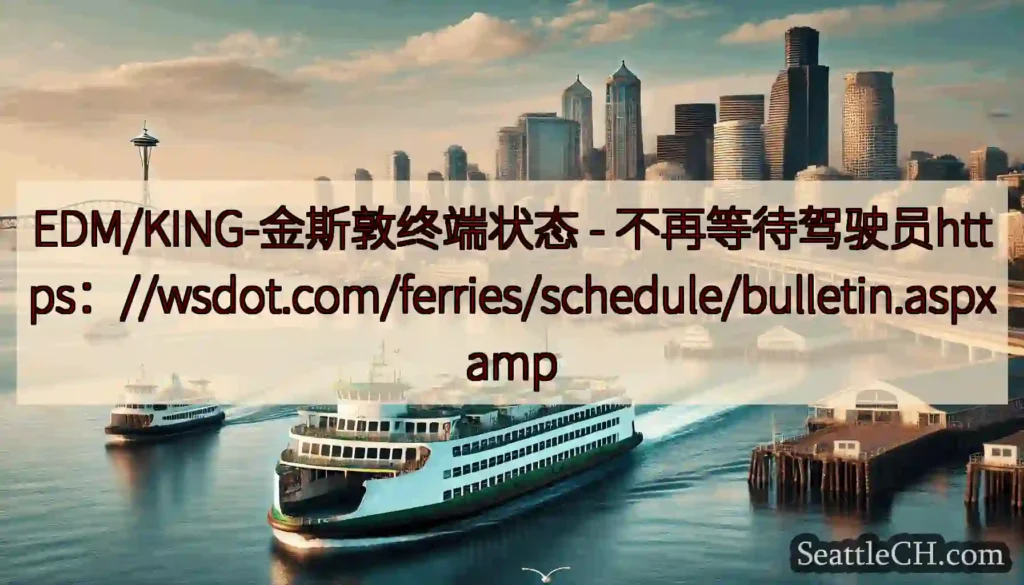 EDM/KING-金斯敦终端状态 -