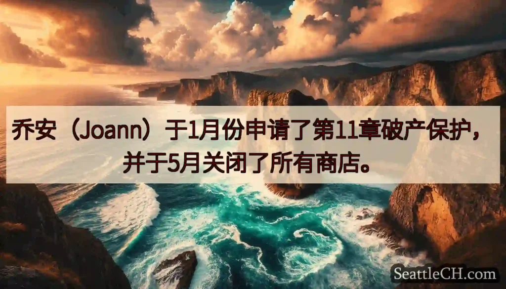乔安（Joann）于1月份申请了第11章破产保护，并于5月关闭了所有商店。