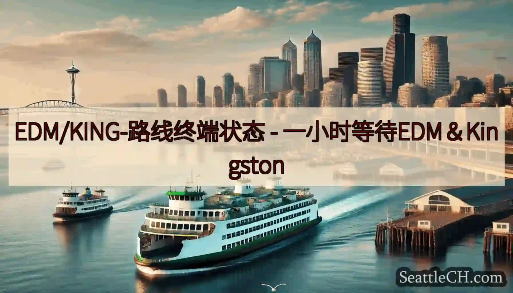 EDM/KING-路线终端状态 - 一小时等待EDM＆Kingston