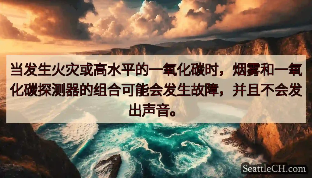当发生火灾或高水平的一氧化碳时，烟雾和一氧化碳探测器的组合可能会发生故障，并且不会发出声音。