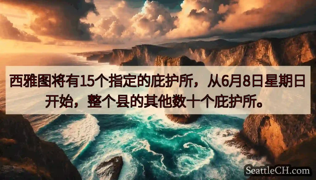 西雅图将有15个指定的庇护所，从6月8日星期日开始，整个县的其他数十个庇护所。