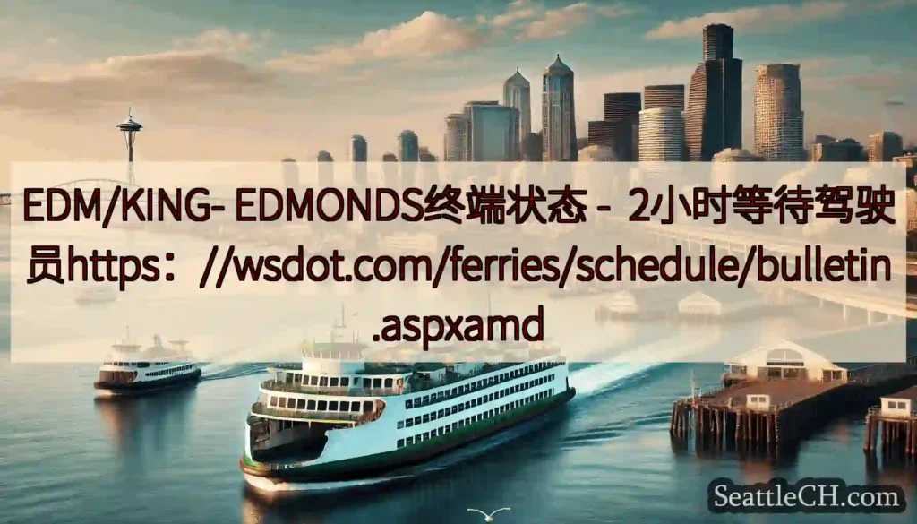 EDM/KING- EDMONDS终端状态 -