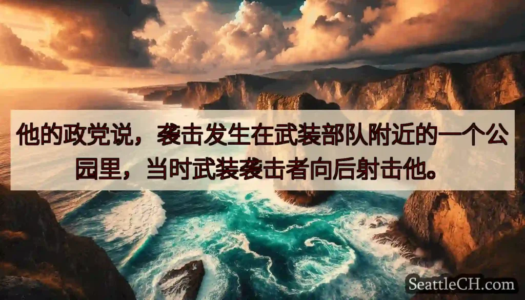 他的政党说，袭击发生在武装部队附近的一个公园里，当时武装袭击者向后射击他。