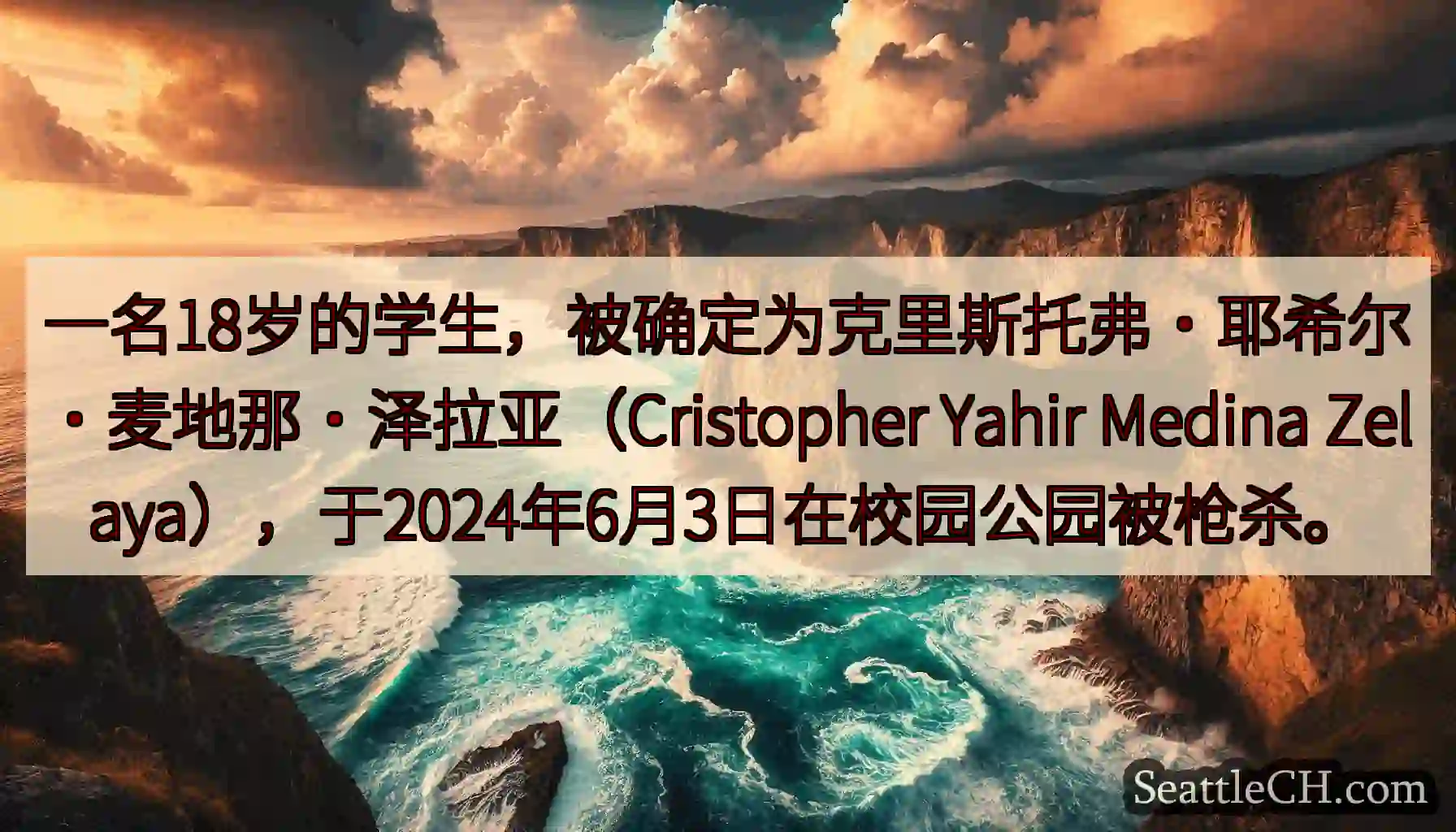一名18岁的学生，被确定为克里斯托弗·耶希尔·麦地那·泽拉亚（Cristopher Yahir