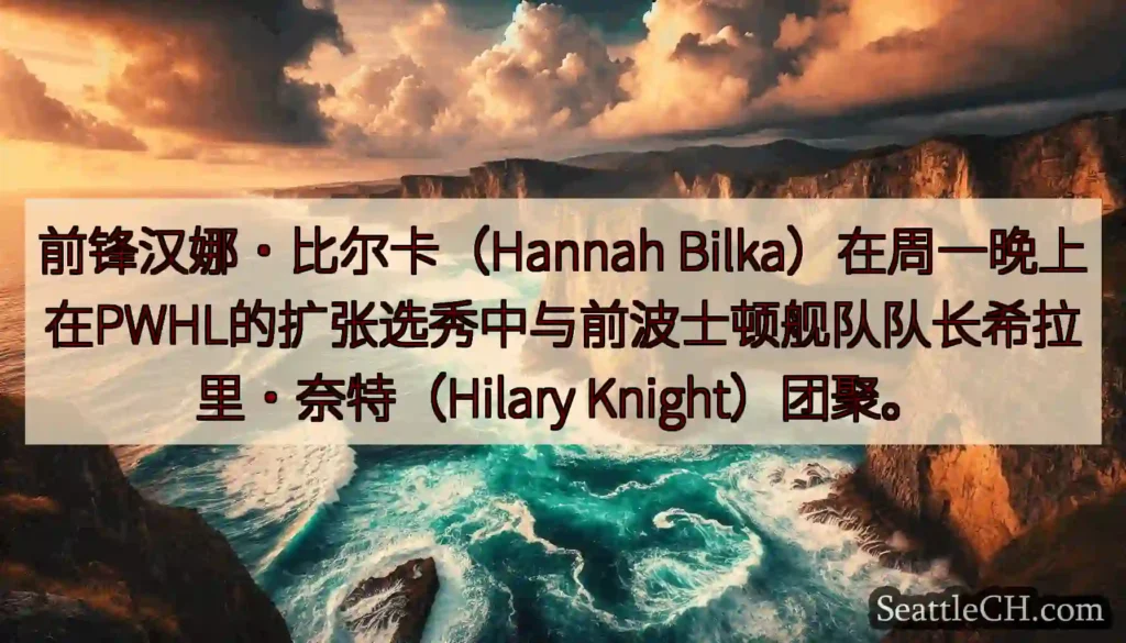 前锋汉娜·比尔卡（Hannah