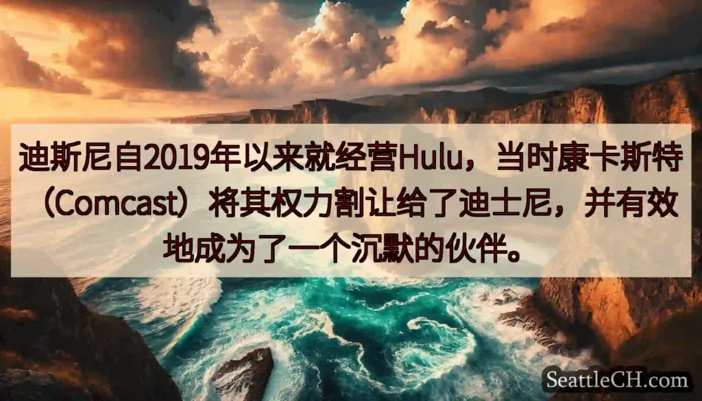 迪斯尼自2019年以来就经营Hulu，当时康卡斯特（Comcast）将其权力割让给了迪士尼，并有效地