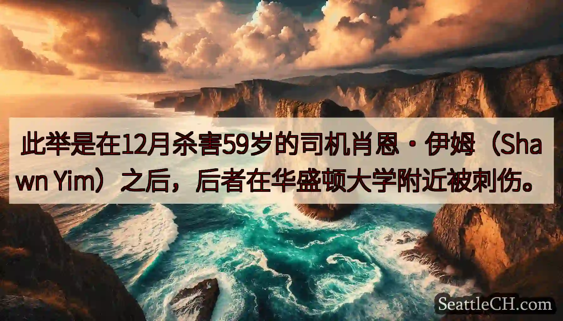 此举是在12月杀害59岁的司机肖恩·伊姆（Shawn Yim）之后，后者在华盛顿大学附近被刺伤。