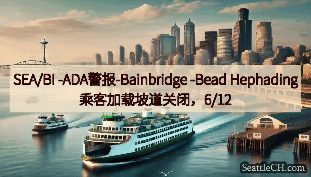 SEA/BI -ADA警报-Bainbridge -Bead