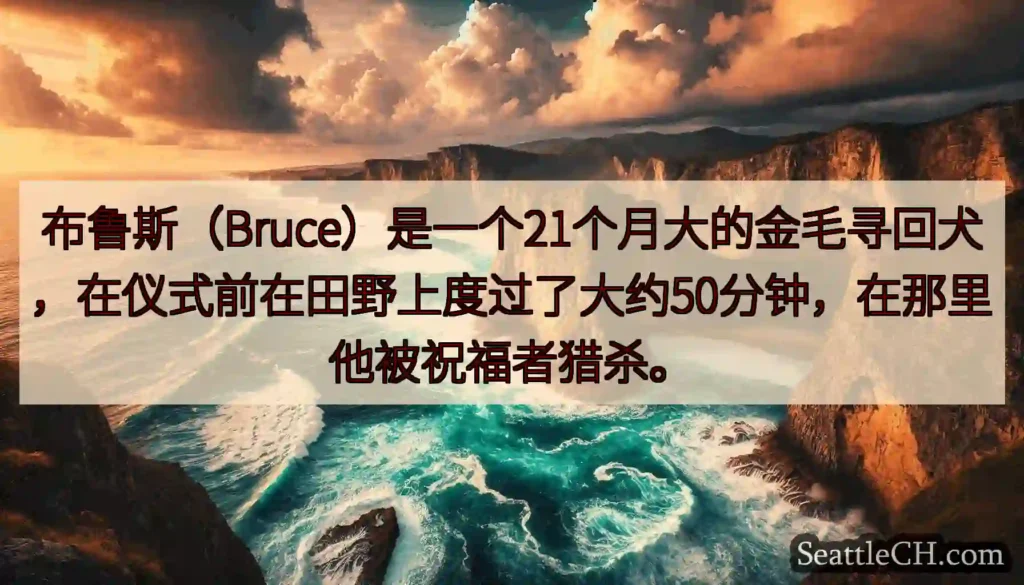 布鲁斯(Bruce)是一个21个月大的金毛寻回犬,在仪式前在田野上度过了大约50分钟,在那里他被祝福