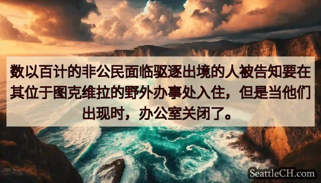 数以百计的非公民面临驱逐出境的人被告知要在其位于图克维拉的野外办事处入住，但是当他们出现时，办公室关