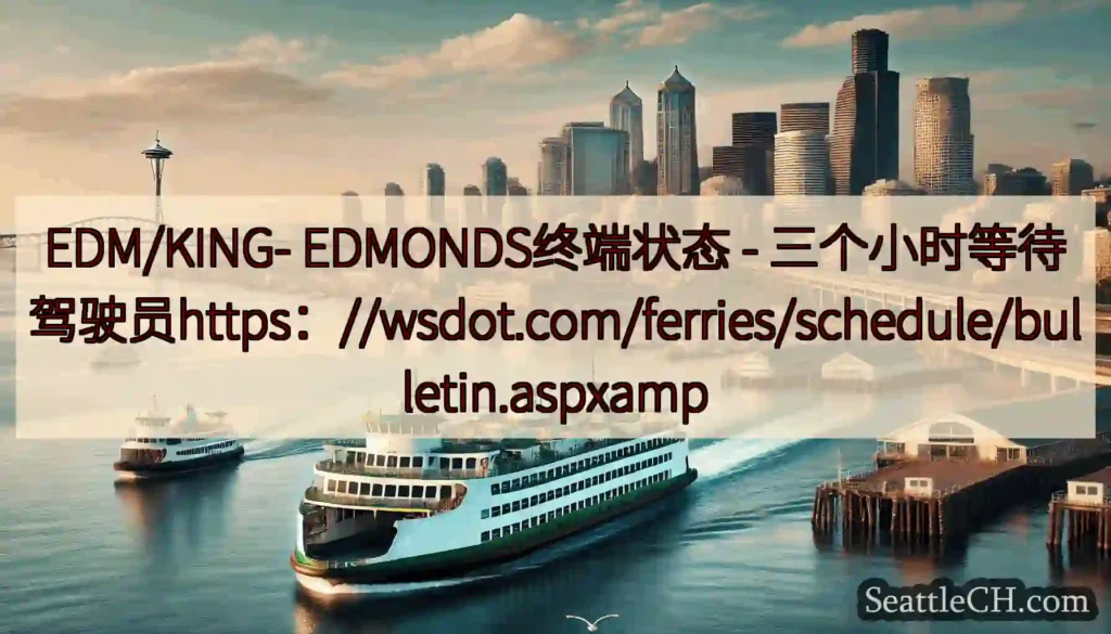 EDM/KING- EDMONDS终端状态 -