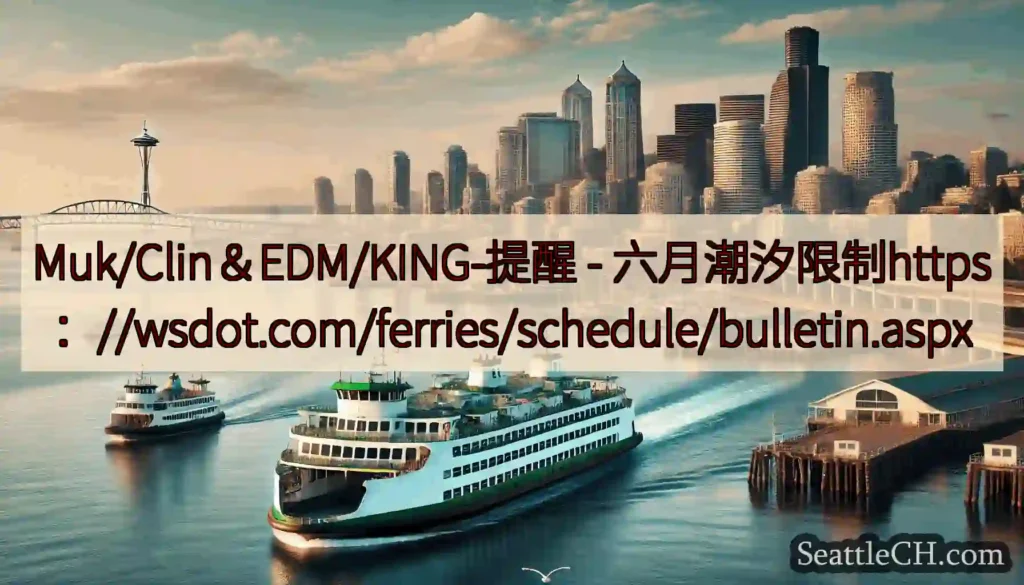 Muk/Clin＆EDM/KING-提醒 -