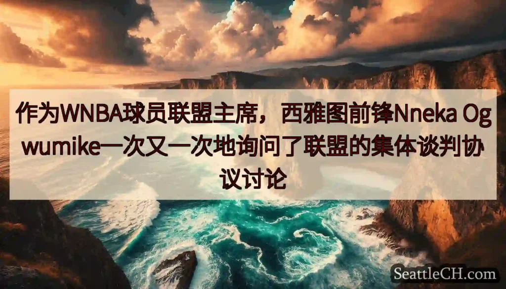 作为WNBA球员联盟主席，西雅图前锋Nneka