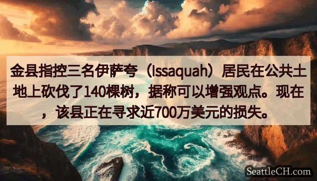 金县指控三名伊萨夸（Issaquah）居民在公共土地上砍伐了140棵树，据称可以增强观点。现在，该县