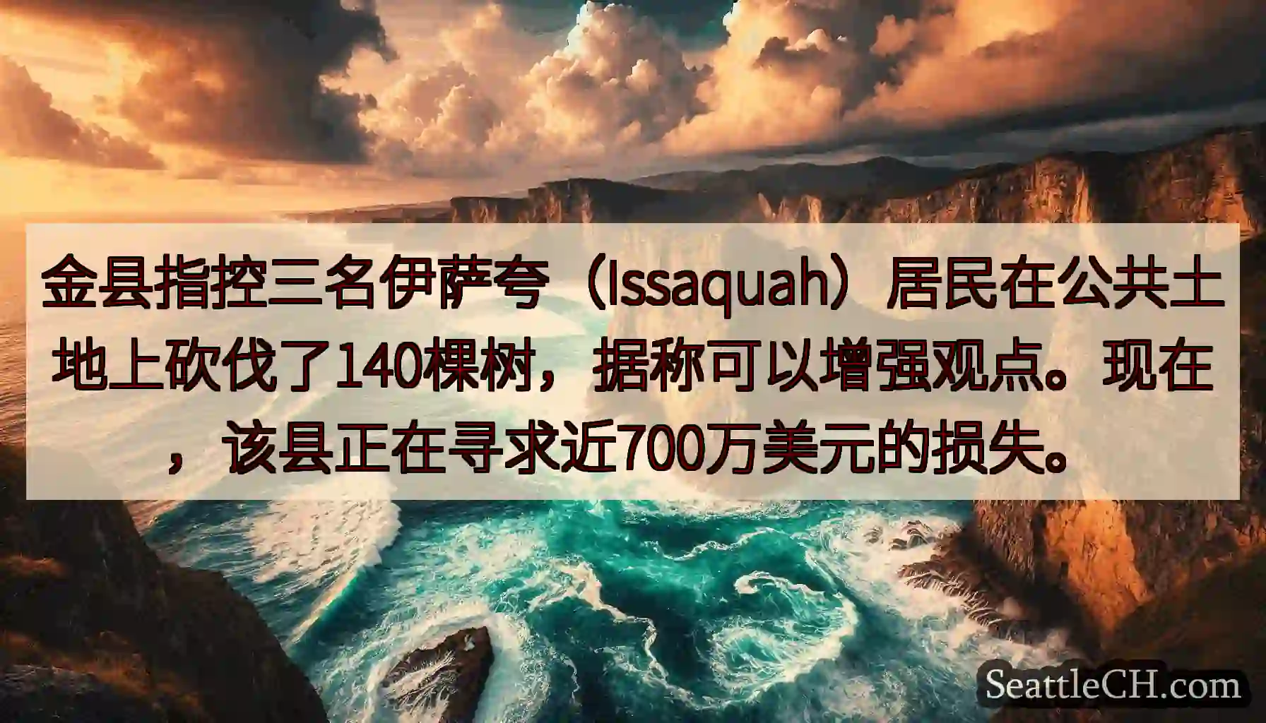 金县指控三名伊萨夸（Issaquah）居民在公共土地上砍伐了140棵树，据称可以增强观点。现在，该县