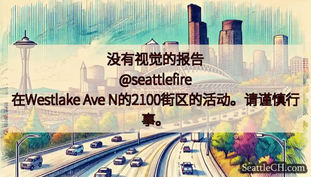 没有视觉的报告