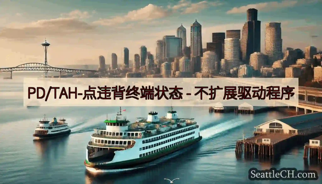 PD/TAH-点违背终端状态 -