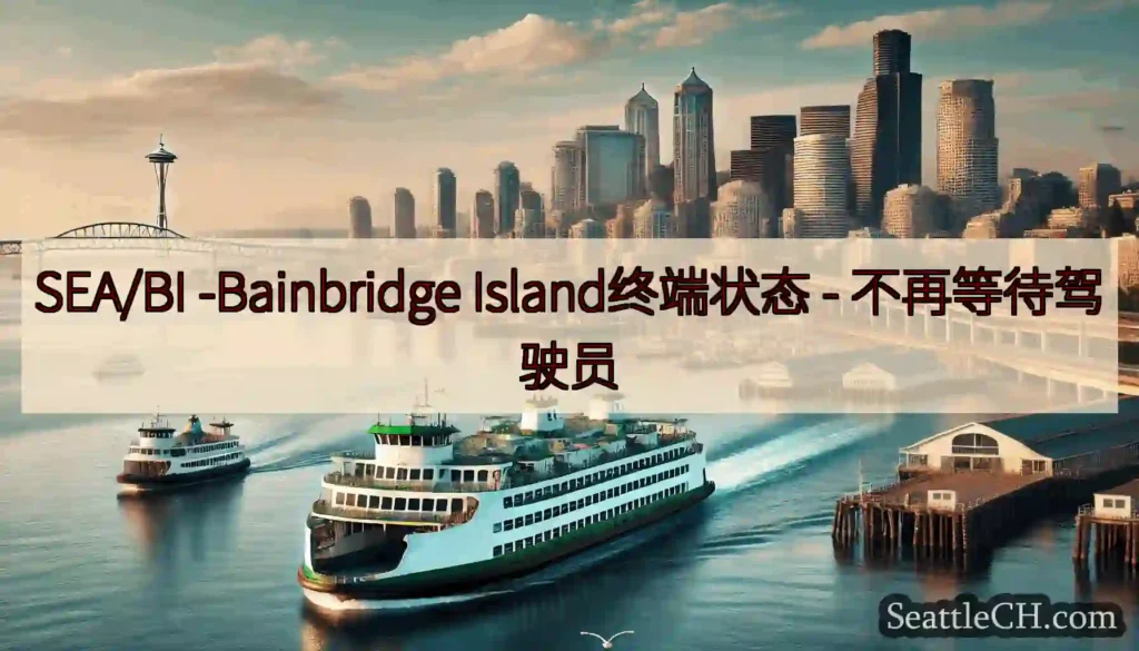 SEA/BI -Bainbridge Island终端状态 -