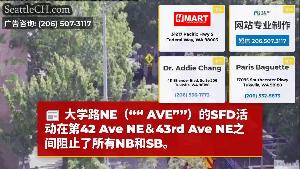 大学路NE（““ AVE””）的SFD活动在第42 Ave NE＆43rd Ave