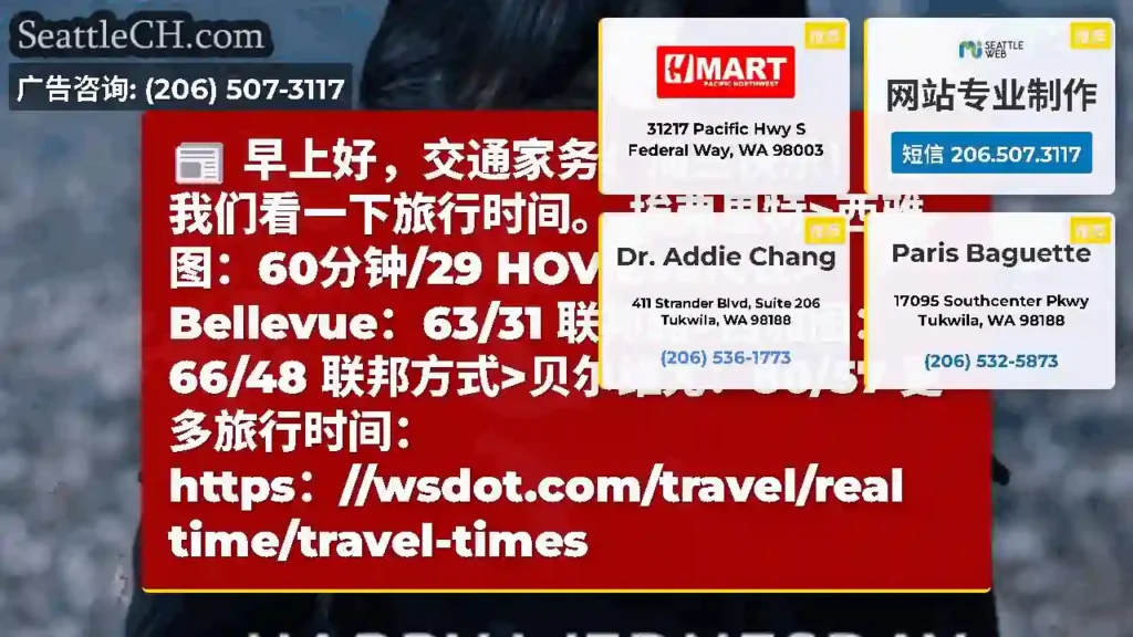 早上好，交通家务！周三快乐！