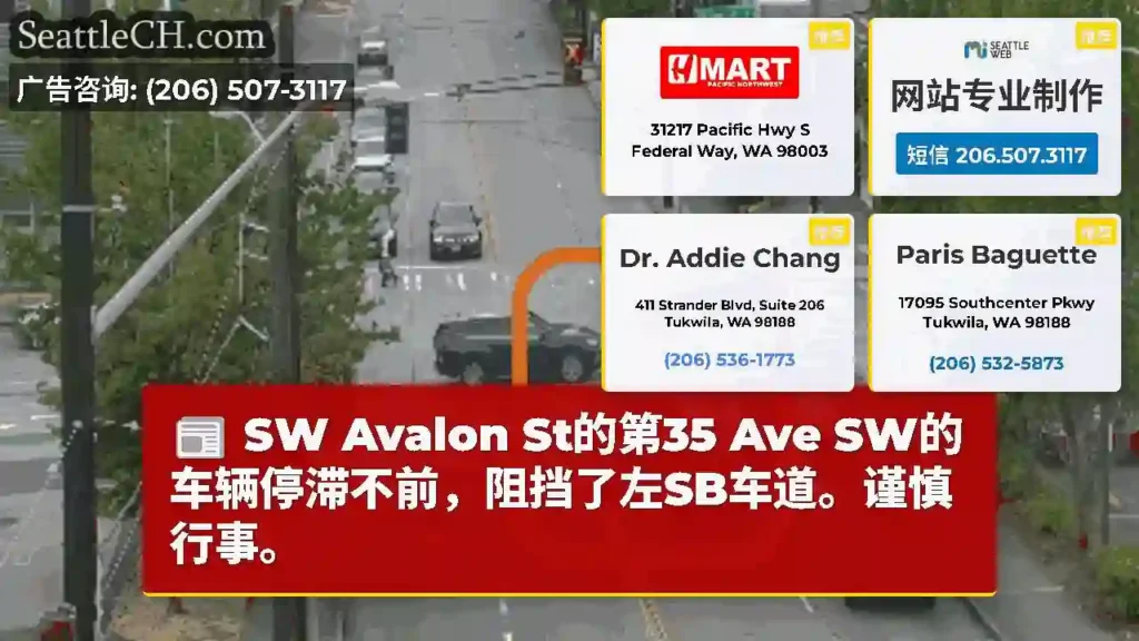 SW Avalon St的第35 Ave SW的车辆停滞不前，阻挡了左SB车道。谨慎行事。