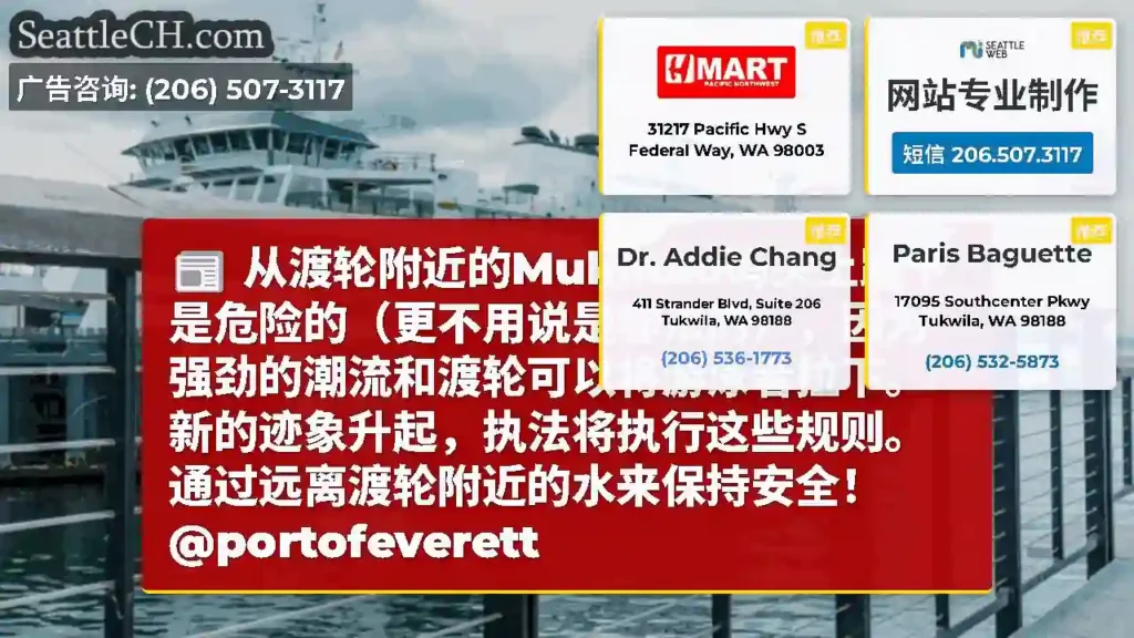 从渡轮附近的Mukilteo码头上跳下是危险的（更不用说是非法的），因为强劲的潮流和渡轮可以将游泳者