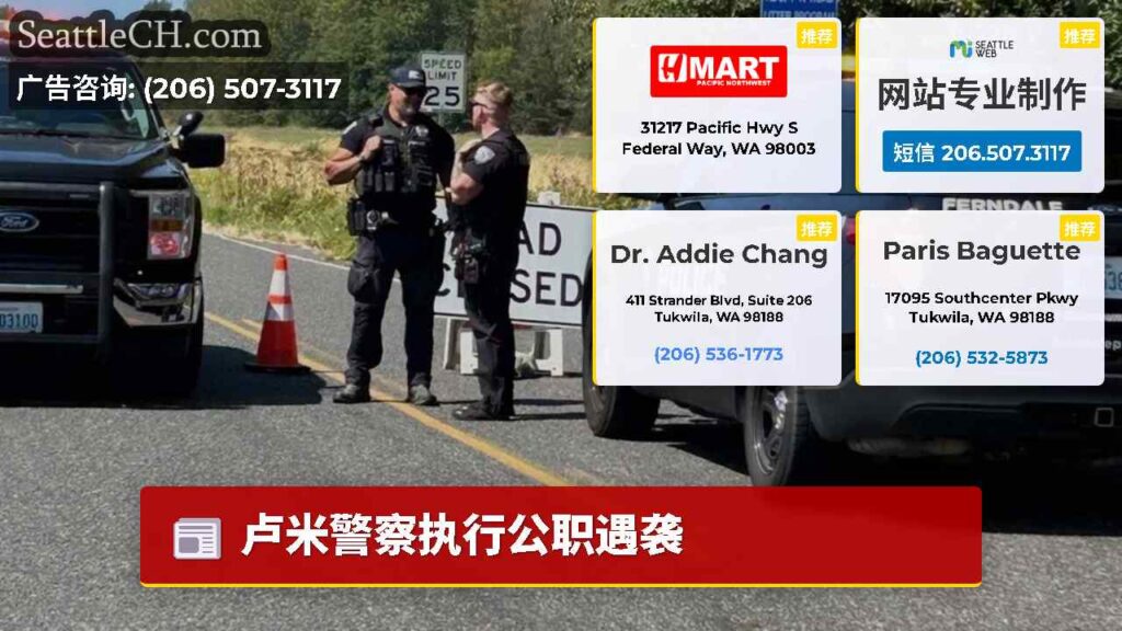 卢米警察执行公职遇袭